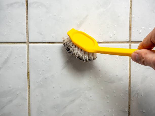 West Dennis, MA Mold Remediation Company